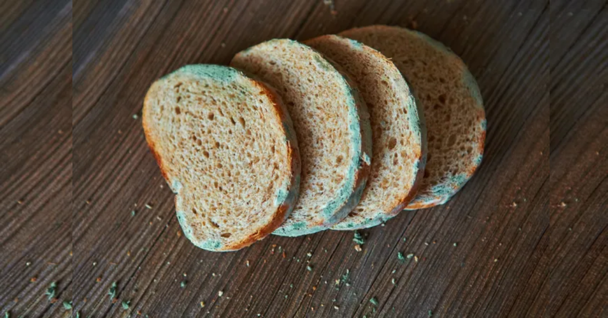 da-li-je-opasno-jesti-budav-hleb